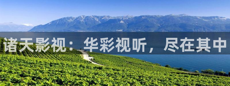 黑蚂蚁影视大全在线观看：诸天影视：华彩视听，尽在其中