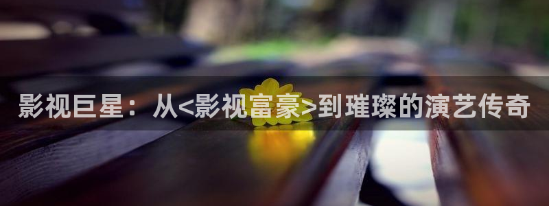 黑蚂蚁影视电视剧大全网站：影视巨星：从<影视富豪>到璀璨的演艺传奇