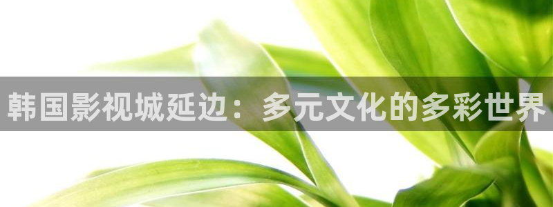 黑蚂蚁电影院官网：韩国影视城延边：多元文化的多彩世界