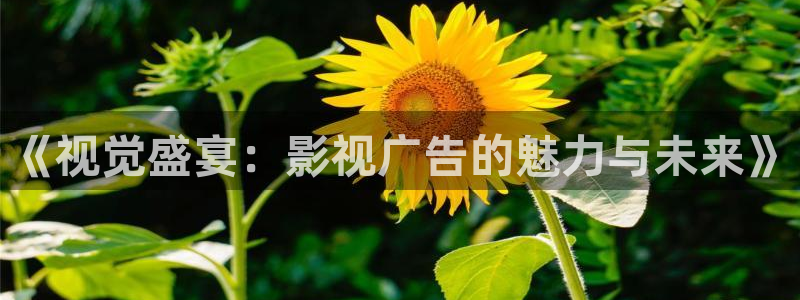 黑蚂蚁影视在线观看：《视觉盛宴：影视广告的魅力与未来》
