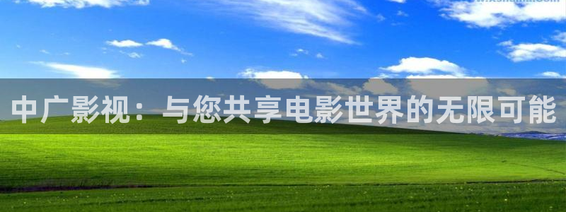 黑蚂蚁电视剧影视大全：中广影视：与您共享电影世界的无限可能