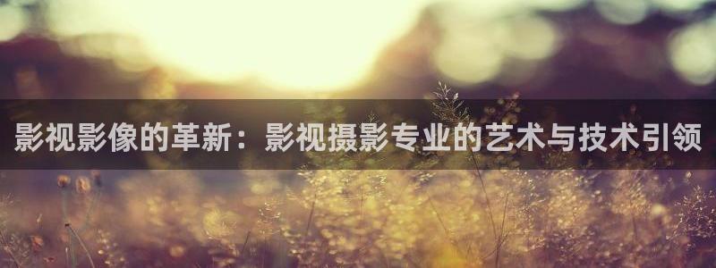 黑蚂蚁图片：影视影像的革新：影视摄影专业的艺术与技术引领