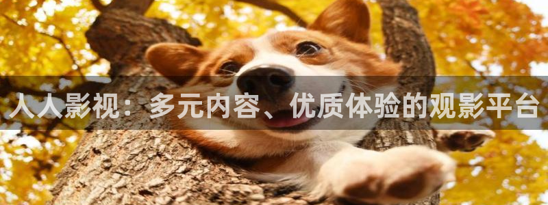 黑蚂蚁影院影视：人人影视：多元内容、优质体验的观影平台
