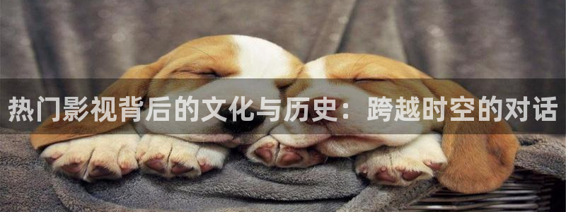 黑蚂蚁视频电视剧：热门影视背后的文化与历史：跨越时空的对话