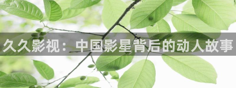 蚂蚁影视 黑蚂蚁电影院：久久影视：中国影星背后的动人故事