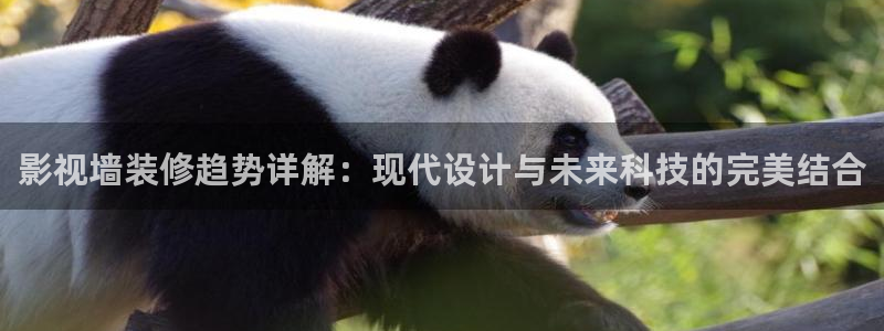黑蚂蚁电影电视：影视墙装修趋势详解：现代设计与未来科技的完美结合
