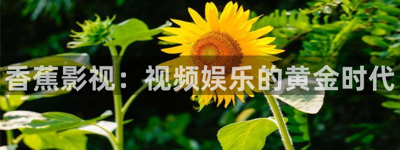 黑蚂蚁免费影院：香蕉影视：视频娱乐的黄金时代
