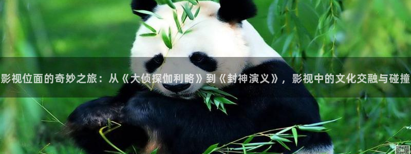 黑蚂蚁电影网：影视位面的奇妙之旅：从《大侦探伽利略》到《封神演义》，影视中的文化交融与碰撞