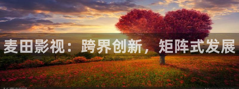 蚂蚁影视黑蚂蚁影院：麦田影视：跨界创新，矩阵式发展