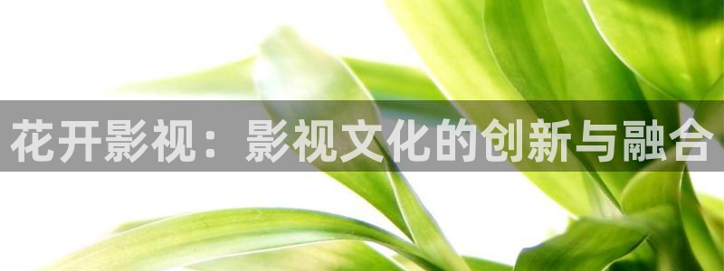 电视剧 黑蚂蚁：花开影视：影视文化的创新与融合