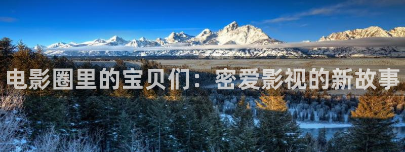 黑蚂蚁影：电影圈里的宝贝们：密爱影视的新故事