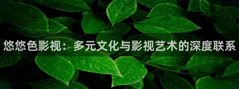 下载黑蚂蚁影院：悠悠色影视：多元文化与影视艺术的深度联系